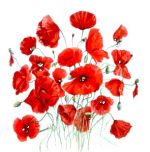 Zoom in 24 Dingwall Remembrance 2018