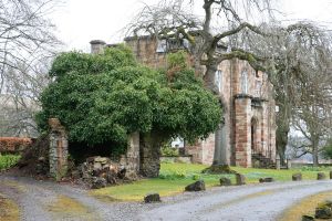 Zoom in 01 Dingwall Features