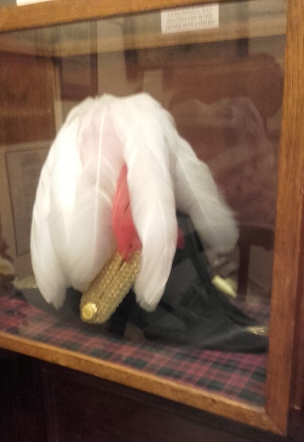 Zoom in Sir Hector's shako, or ceremonial hat, decorated with ostrich feathers.