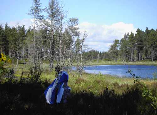 Zoom in Cairn at edge of Simon's Loch