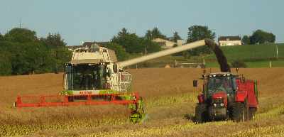 Combining gets under way in the Black Isle