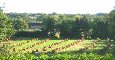 Zoom in Traditional binder and modern tractor - photo 2