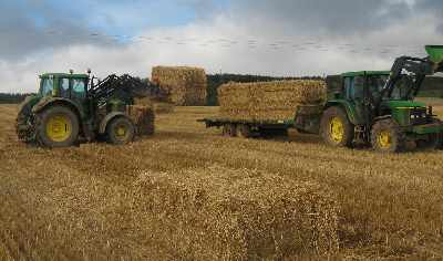 Zoom in Loading square bales on a trailer