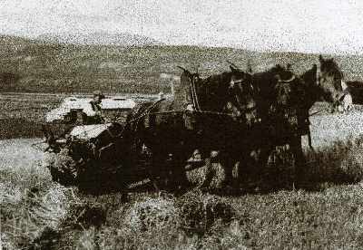 Zoom in Skinner family at work on the harvest - photo 1