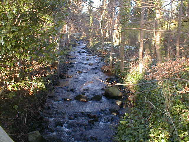 Mill Burn at Milton of Redcastle