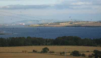 The Cromarty Firth from Ardullie Farm - photo 2