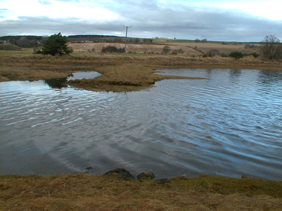 The possible site of the sluice of one of the two salt mills in Munlochy Bay.