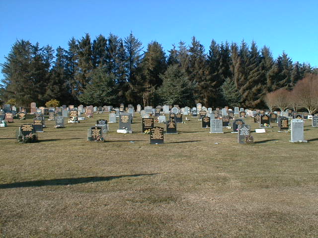 Tore burial ground, looking north.