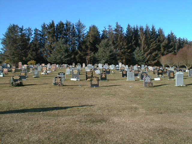 Zoom in Tore burial ground, looking north.