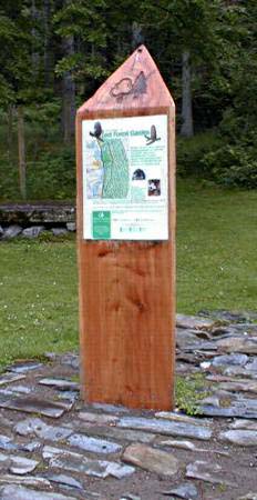 Lael forest walk signpost