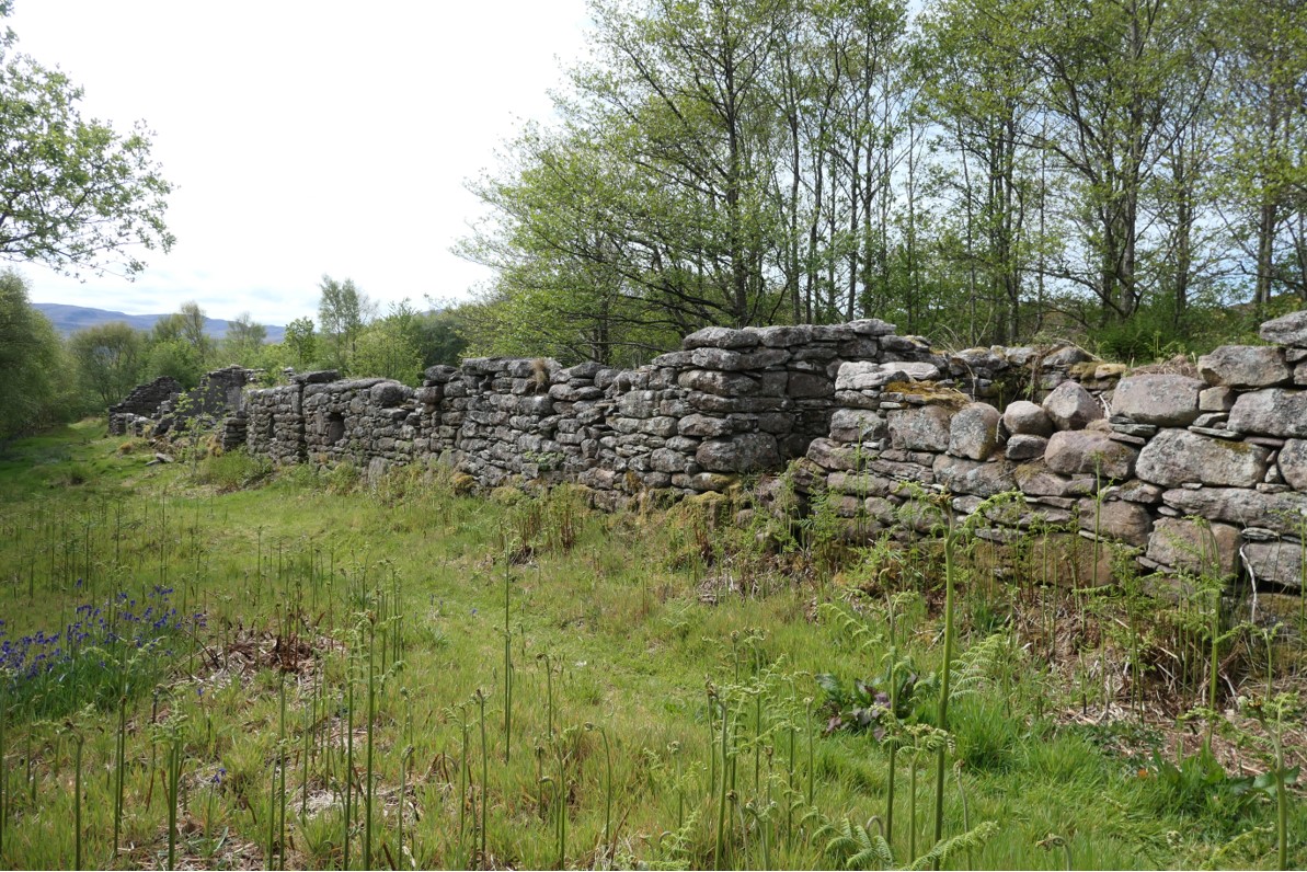 Remains of houses