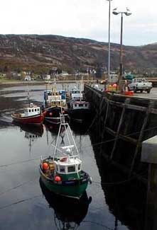 Fishing boats in Ullapool harbour.