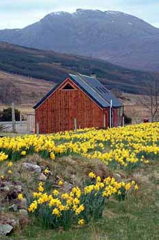 Zoom in Smithy Heritage Centre