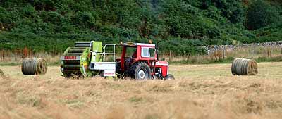 Harvesting at Auchtertyre