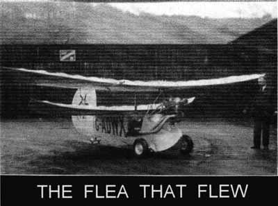 Zoom in The Flea that Flew