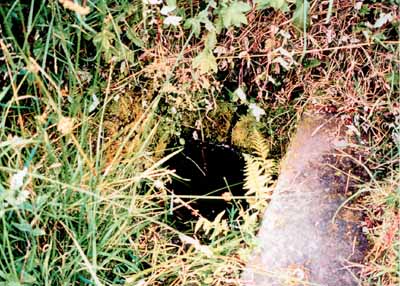Zoom in St John The Baptist's Well