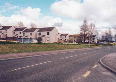 Zoom in Some of the Wrightfield Park houses showing the landscaped bank between the houses and the main road.