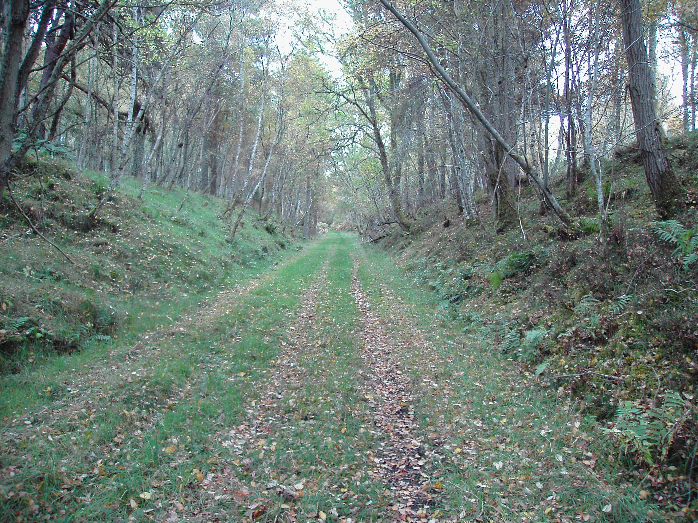 Zoom in Old Railway line - photo 1