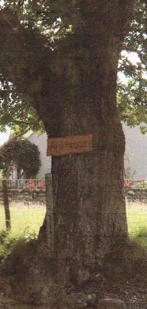 Ardcronie farm sign.