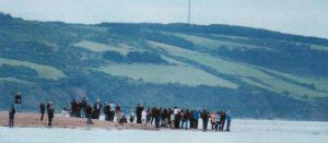Zoom in Dolphin watchers at Chanonry Point