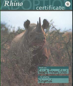 Zoom in Endangered Species - photo 1