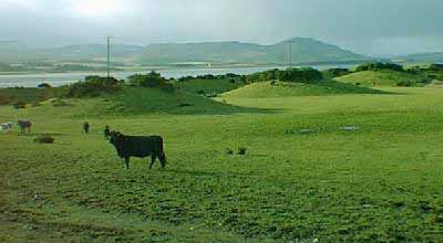 Zoom in Central Ridge