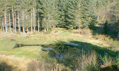 Looking down on the pond and picnic site