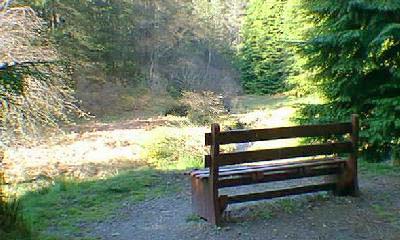Seat with view along the Aldie Burn