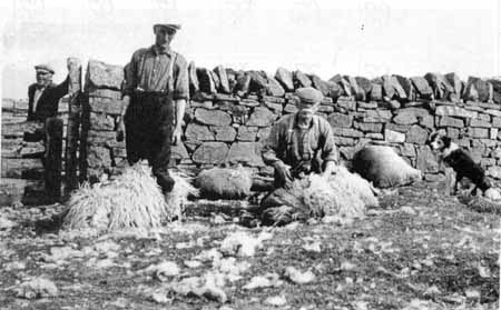 Zoom in The Diabaig fank.
