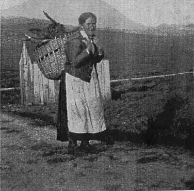 Zoom in Mrs Mary Mackenzie, fishwife