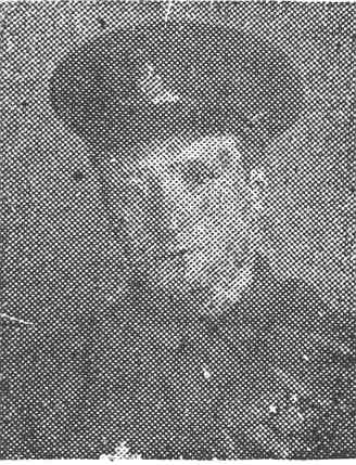 Fraser T, Gunner, Lochcarron Fraser T, Gunner, Lochcarron