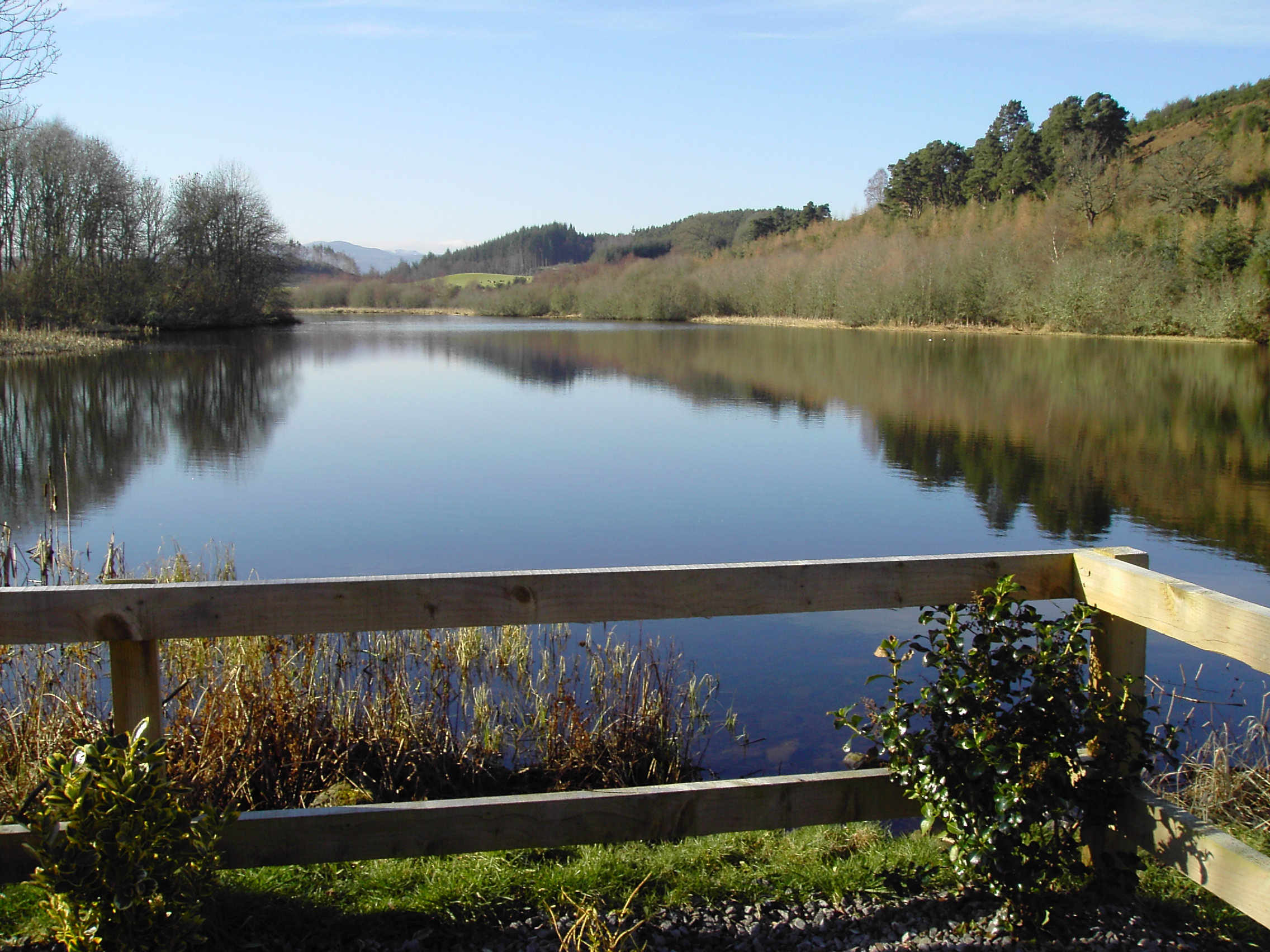 Zoom in Loch Kinellan from the memorial seat.