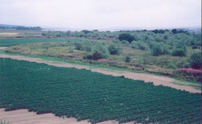 Zoom in 03 Flood reclamation embankment along River Conon