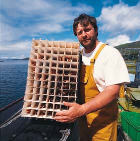 Zoom in Alfie Edwards