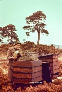 Zoom in Miss M. Logan