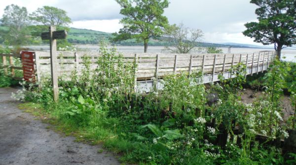 Zoom in 03 James' Bridge, Dingwall