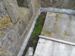 22 Castle Street Church Repairs