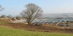 39 Dingwall and Highland Marts