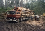 Timber extraction in difficult places ....