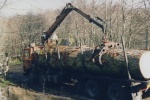 Timber extraction in difficult places ....