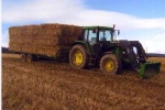 Trailer of square bales