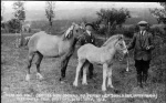 Crofter Show, Dingwall, 1912. Possibly Macdonald, Brae, Easter Kinkell.