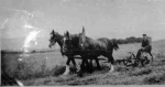 Arthur Fraser mowing. Balrailan 1930s.