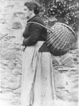 Mrs Jeannie Reid