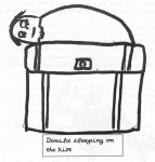 Donald Sleeping on the kist