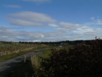 Looking east from Killearnan War Memorial.