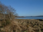View of the Beauly Firth at Milton of Redcastle