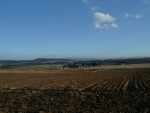 Highland Grain Ltd