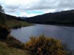 Middle Strathconon
