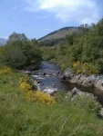 Middle Strathconon